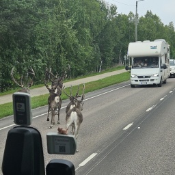 nordkap rundreise 2025_29